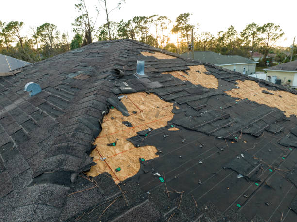 Best Roof Ventilation Installation  in Baden, PA